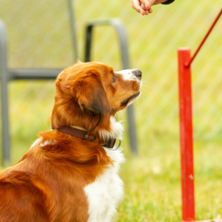 Individualna ura - slika 3