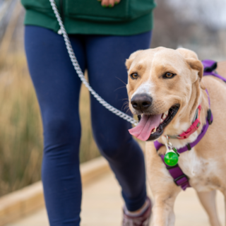 Individualna ura - slika 2