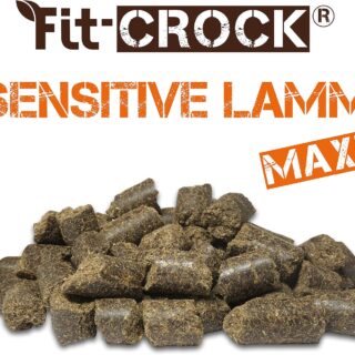 Hladno stiskana hrana za pse FIT CROCK SENSITIVE JAGNJE MAXI 3 kg - slika 2
