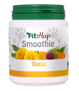 FIT HAP SMOOTHIE DETOX 60 g