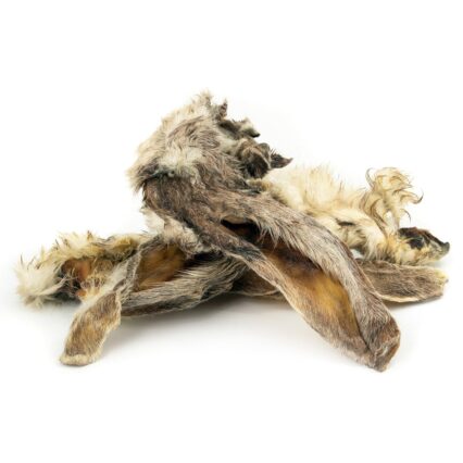 Pile of dead, furred animal carcasses (likely rabbits) with matted fur against a white background.